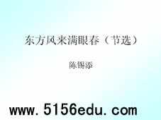 《东方风来满眼春——邓小平同志在深圳纪实》ppt课件1