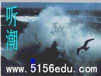 《听潮》ppt课件4