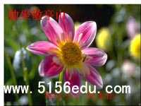 《独坐敬亭山》ppt课件1