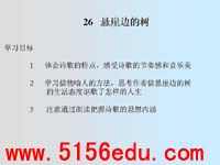 《悬崖边的树》ppt课件4